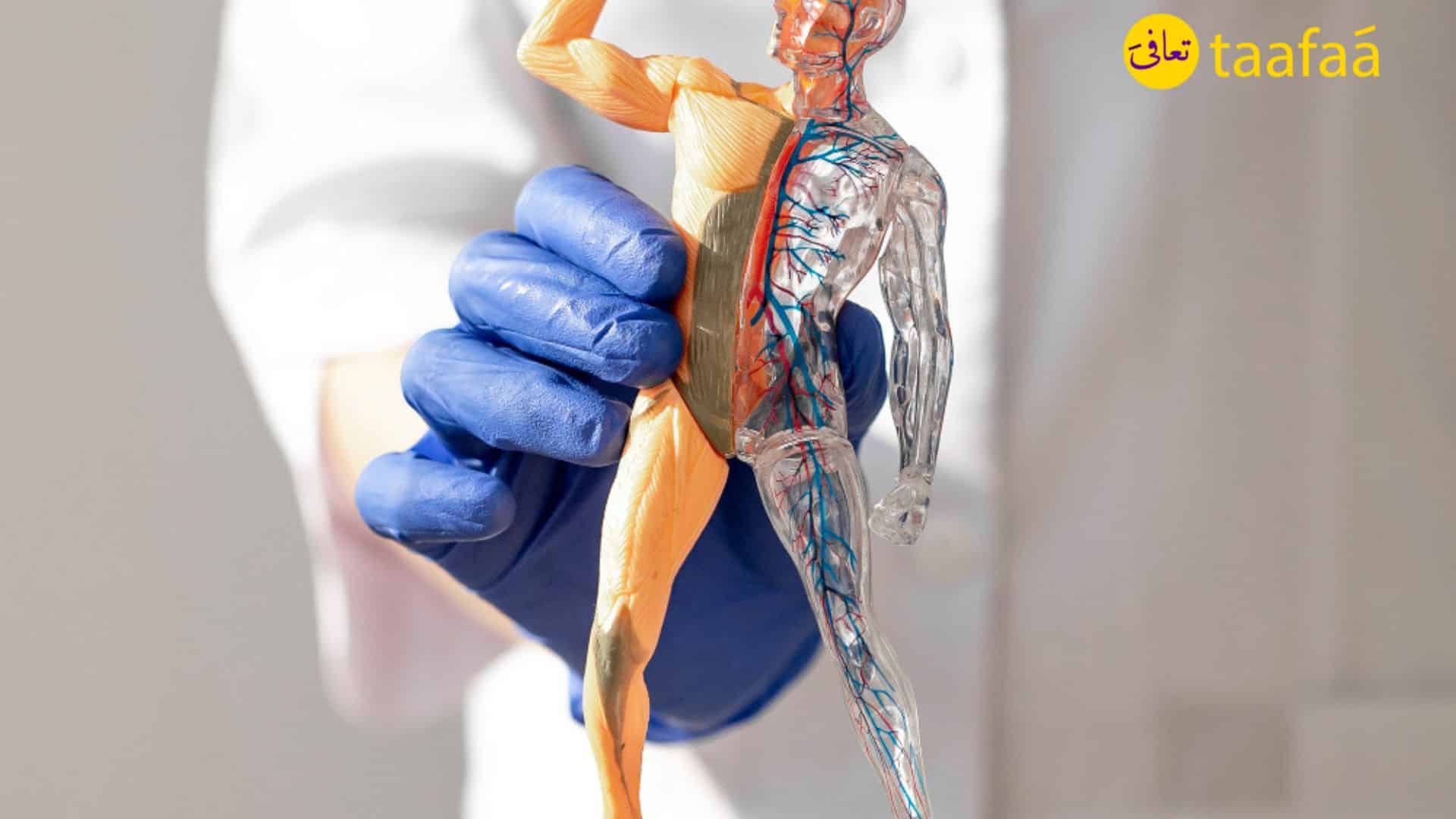 ما هي أكثر عمليات جراحة العظام شيوعا في سلطنة عمان