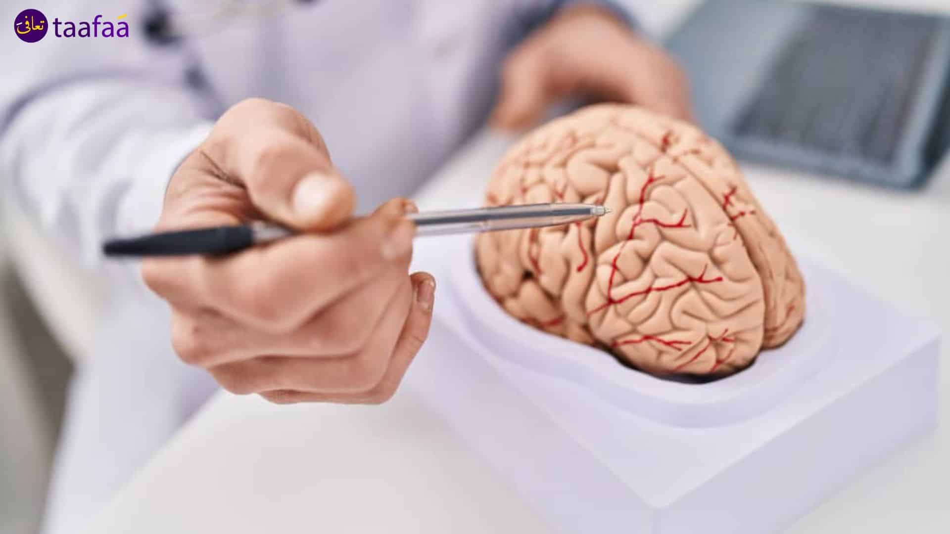 استاذ جراحة المخ والاعصاب
